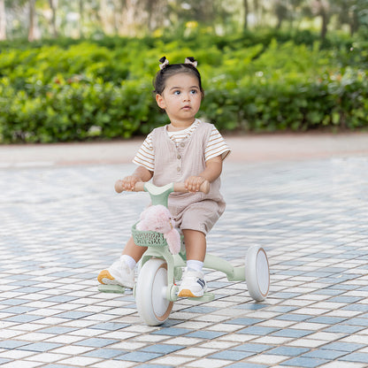 Globber - 3in1 ECO Learning Trike - Pistachio - Outdoor