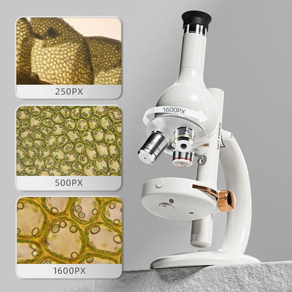 Hape - Microscope Lab Edition - STEM